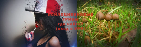 альфа пвп Каменногорск