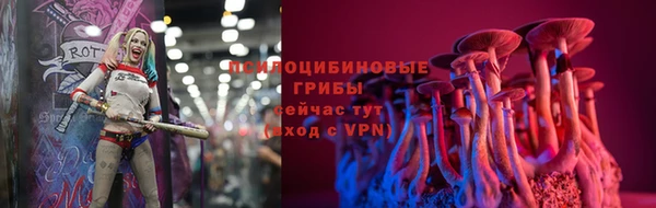 альфа пвп Каменногорск