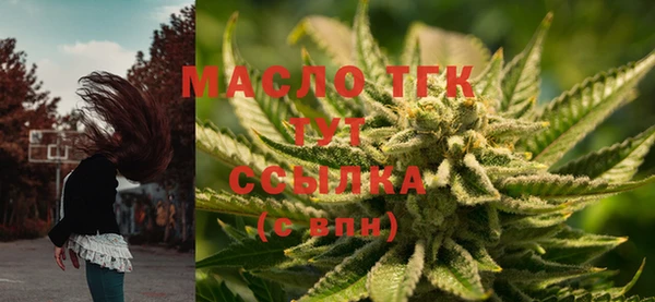 бутират Каменка