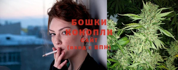 альфа пвп Каменногорск