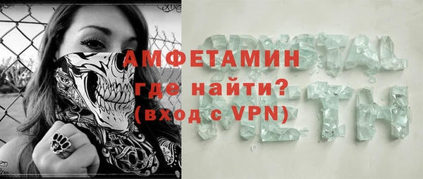 стаф Инта