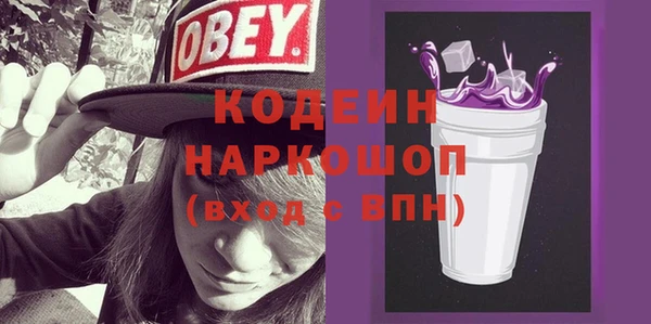 стаф Инта